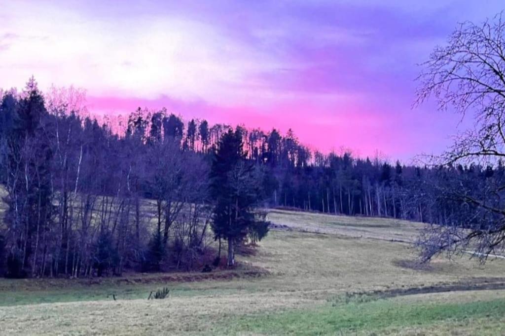 Gite De La Ravanne Ramonchamp ภายนอก รูปภาพ